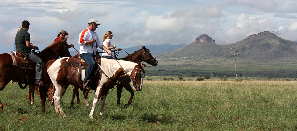 sonoita-vineyards-horse-rides